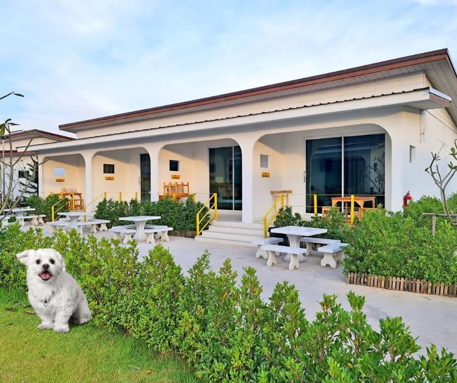เดอะทอย อาร์ต รีสอร์ท  ( บ้านพัก ที่พักระยองติดทะเล ) ที่พักระยองติดหาด