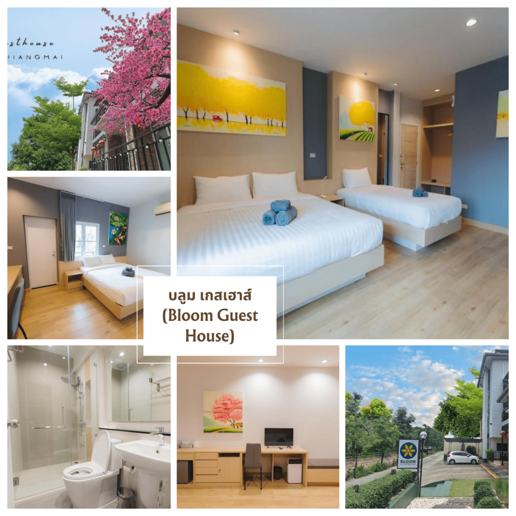 บลูม เกสเฮาส์ (Bloom Guest House)-ที่พักเชียงใหม่ราคาถูก