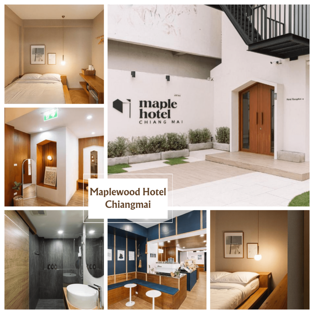 โรงแรมเมเปิลวูด เชียงใหม่ (Maplewood Hotel Chiangmai)-ที่พักเชียงใหม่ราคาถูก